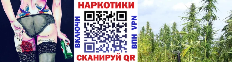 Купить закладку A-PVP  Мефедрон  MDMA  Бошки Шишки  Североморск