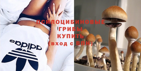 прущая мука Новозыбков